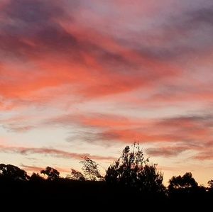 Meet your Posher, Margie